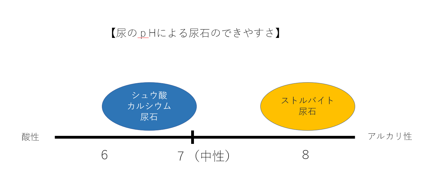 猫のシュウ酸カルシウム尿石の原因と治し方 - 療法食チャンネル