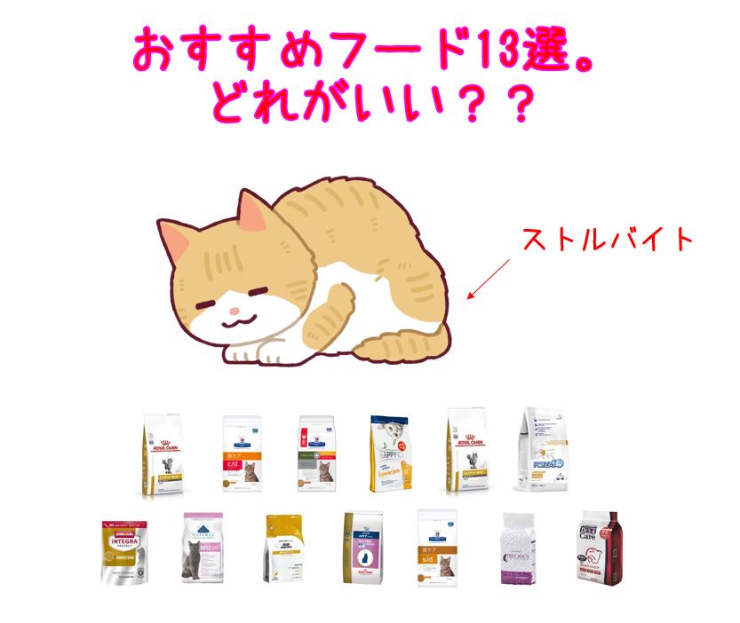 猫 ストルバイト フード おすすめ 118030猫 ストルバイト フード おすすめ 猫 ストルバイト フード おすすめ 118030猫 ストルバイト フード おすすめ