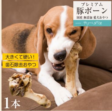 犬がほねっこを丸呑み 病院に行くべきかを見分けるポイント 療法食チャンネル