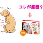 アンチノールはamazon購入不可 ３つのおトクな購入法を紹介します 療法食チャンネル