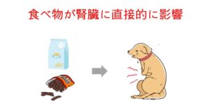 腎臓病や腎数値の高い犬に ささみは危険 ペット栄養士が解説 ペットのモノシリ