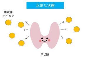 犬の甲状腺機能低下症 おすすめドッグフード5選を 栄養士が紹介 ペットのモノシリ